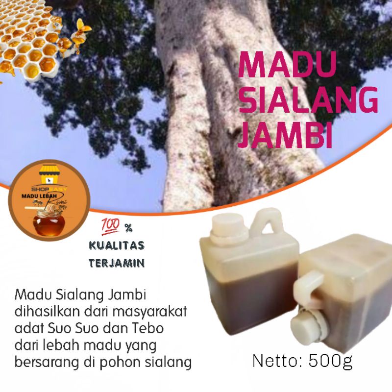 

Madu Sialang Jambi 100% Murni_500g