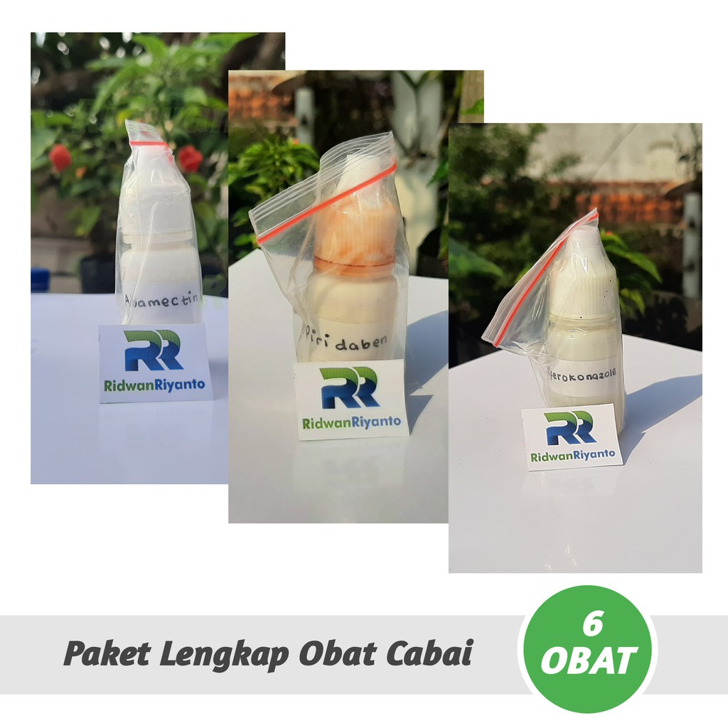 PAKET LENGKAP 6 Jenis OBAT Cabai Premium untuk PENCEGAHAN Penyakit Cabe