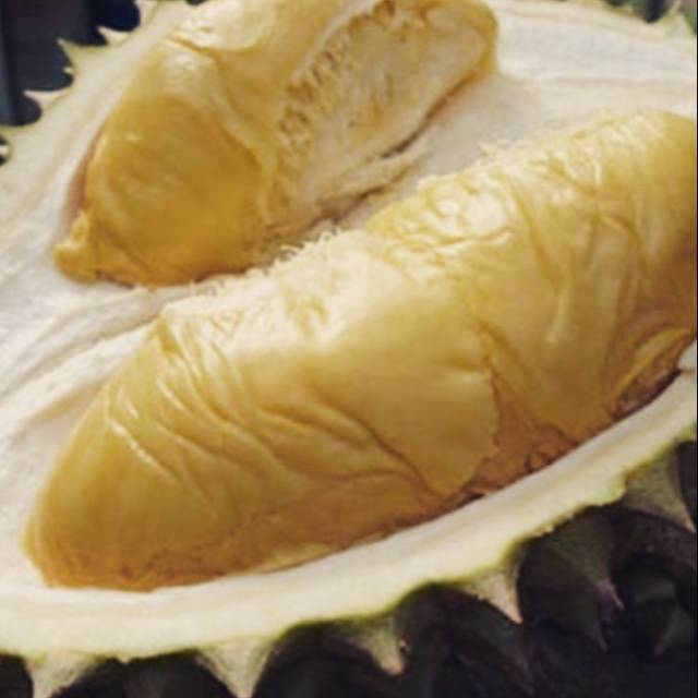

Durian Medan