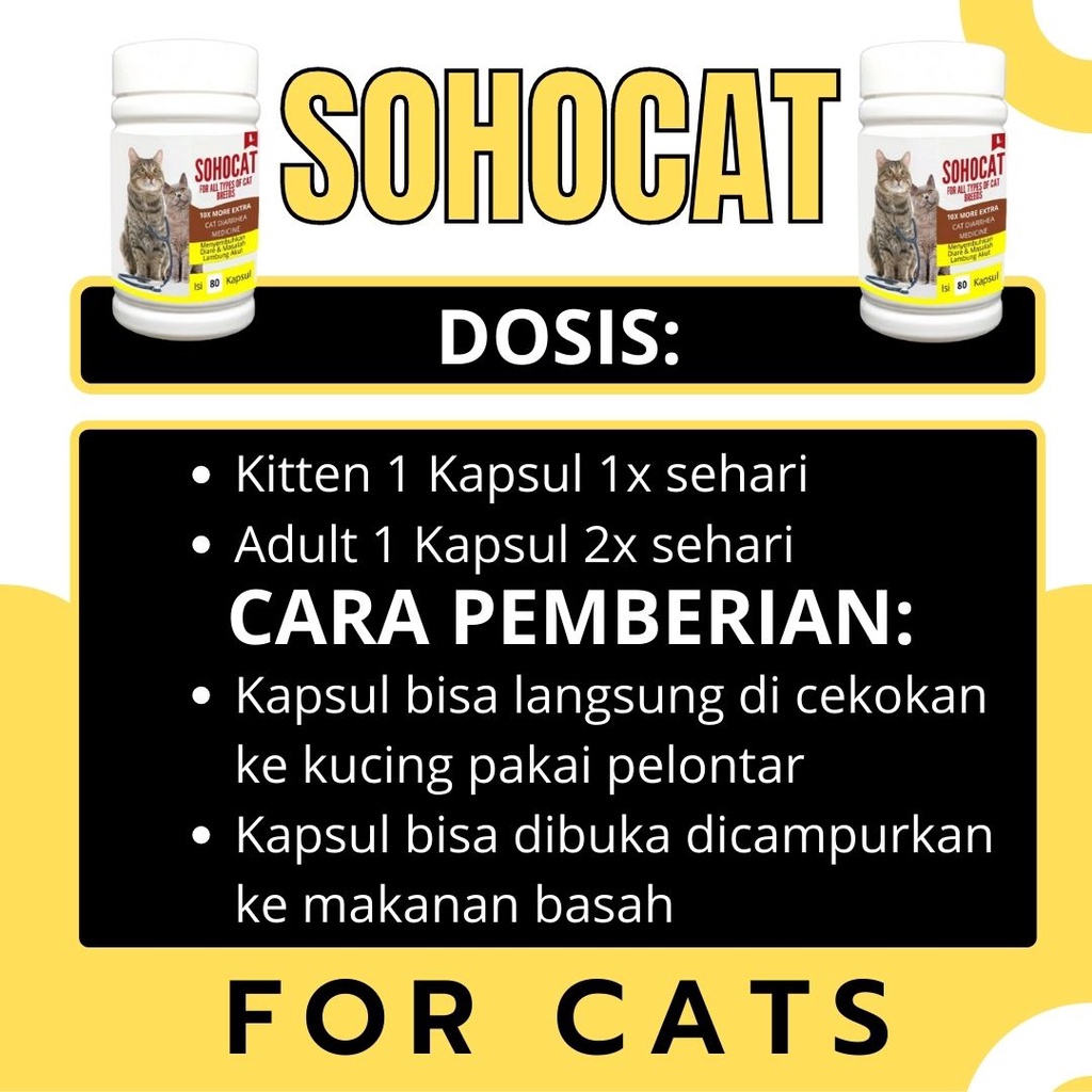 Obat Mencret Kucing / Obat Diare Kucing Mengatasi Diare FEFARM