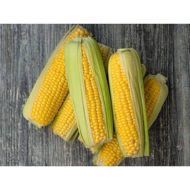 

Jagung Manis Kupas/pcs