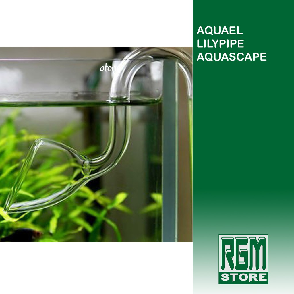 AQUAEL Lily pipe lilipipe glass kaca in out aquascape aquarium