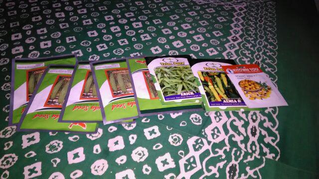 Bibit Cabe Rawit Almia 01 Isi 5 Gram | Benih Cabe | Bibit Cabai Rawit | Bibit Cabe Rawit Unggul