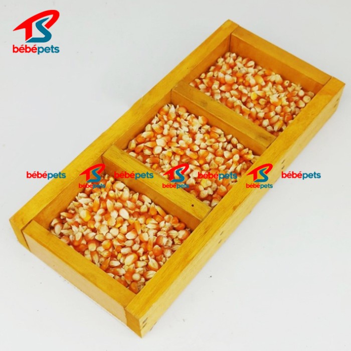 WADAH PAKAN BURUNG MERPATI KOTAK KAYU 3 LUBANG TEMPAT MINUM MERPATI