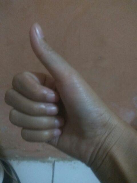 Toples Serbaguna Shinpo 500 Ml Sip