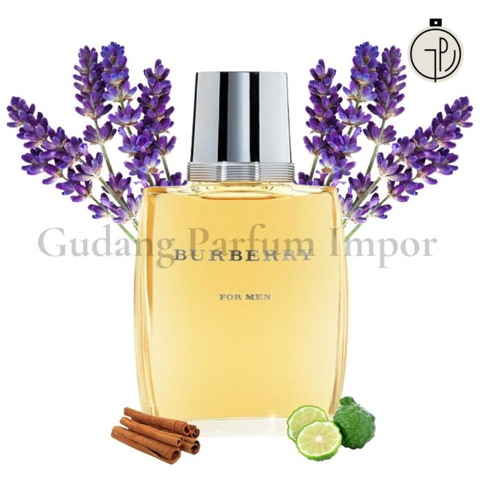 Burberry classic edt 100 ml online