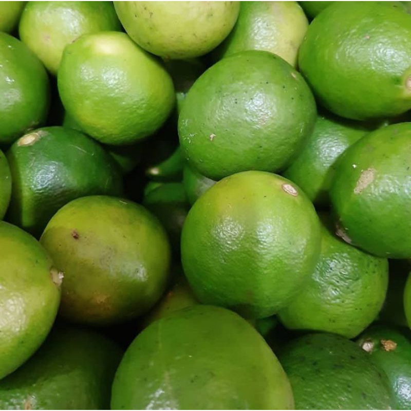 

JERUK NIPIS SEGAR 500 GRAM