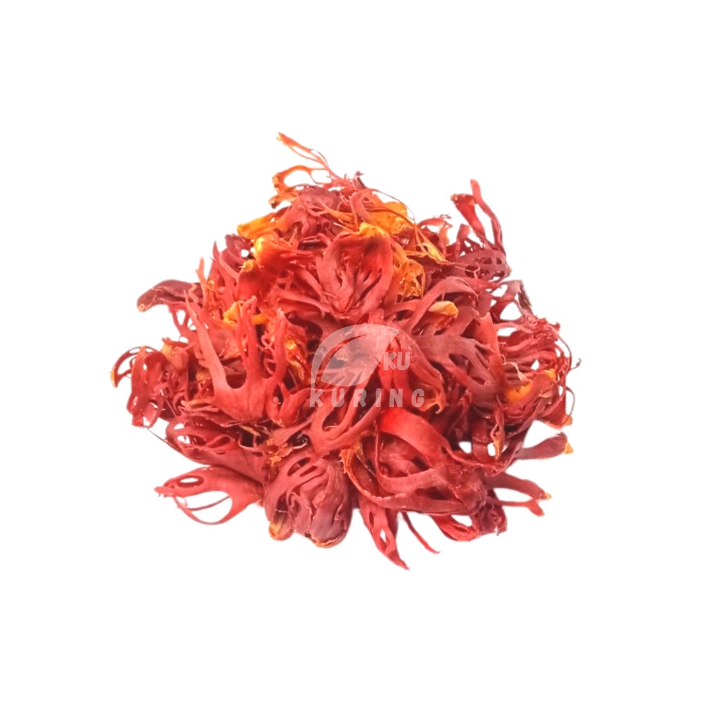 

KUKURING BUNGA PALA / SEMPRA / PULI / MACE DREAD / KERING SUPER