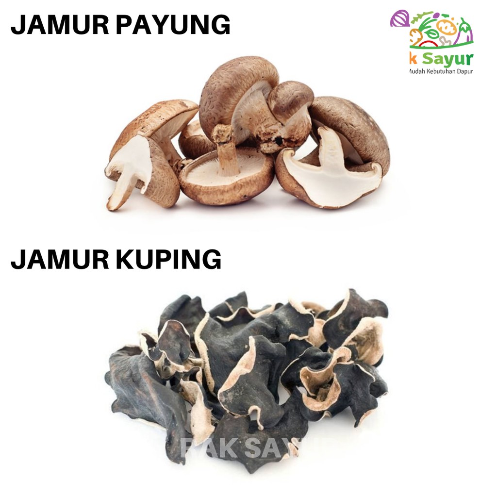 

Jamur Kuping Jamur Payung Kering 30gr per Bungkus Padang