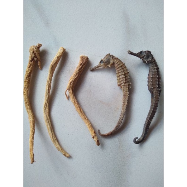 

Herbal Kud4 kering 2pcs+ akar ginseng 3pcs
