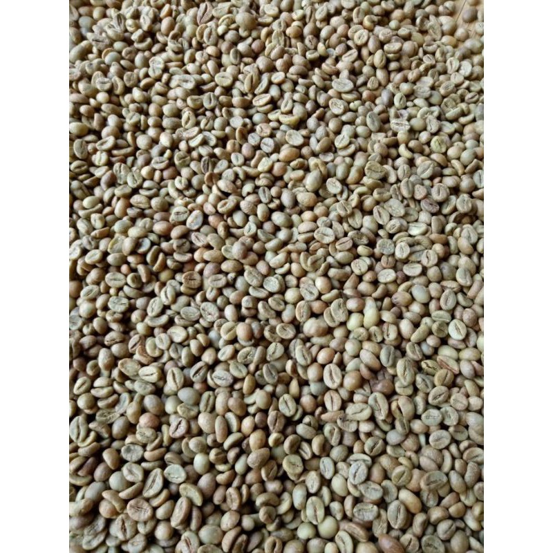 

Kopi mentah/green bean robusta asli Pacitan