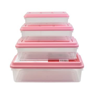 ACE Hardware Storage Box Set of 4 Pink & Blue