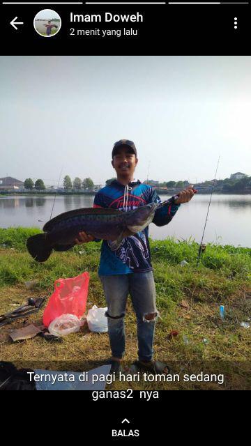 Paket Lip Grip Dan Tang T-bar