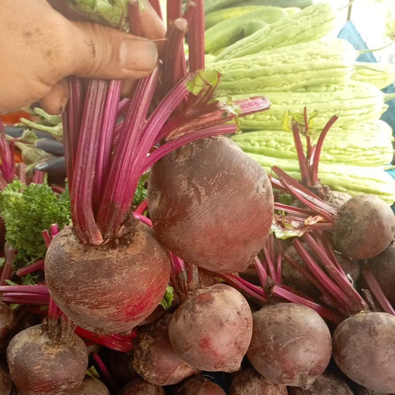 

500GRAM & 1KG BUAH BIT // BUAH BIIT // BUAH BET BERASTAGI