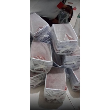 Cacing beku bloodworm