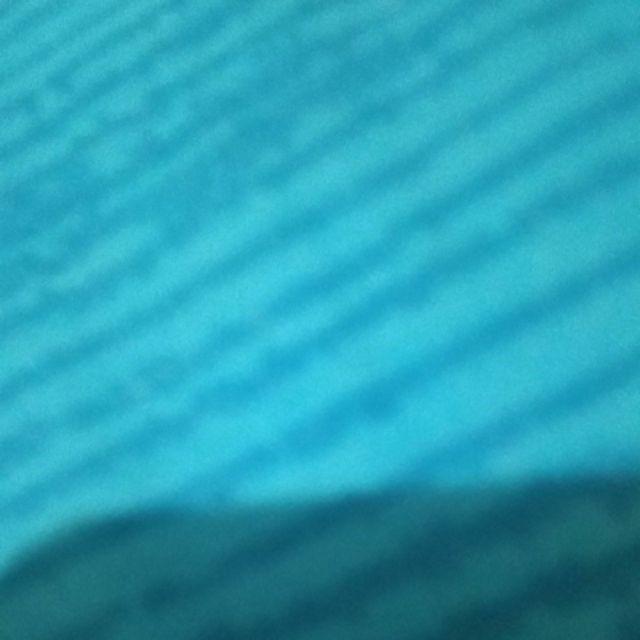 Pipe Cleaner Sellery 1/4 X 10m