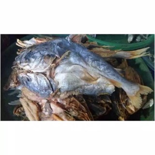 Jual Ikan badukang asin ( 500 gram ) Indonesia|Shopee Indonesia
