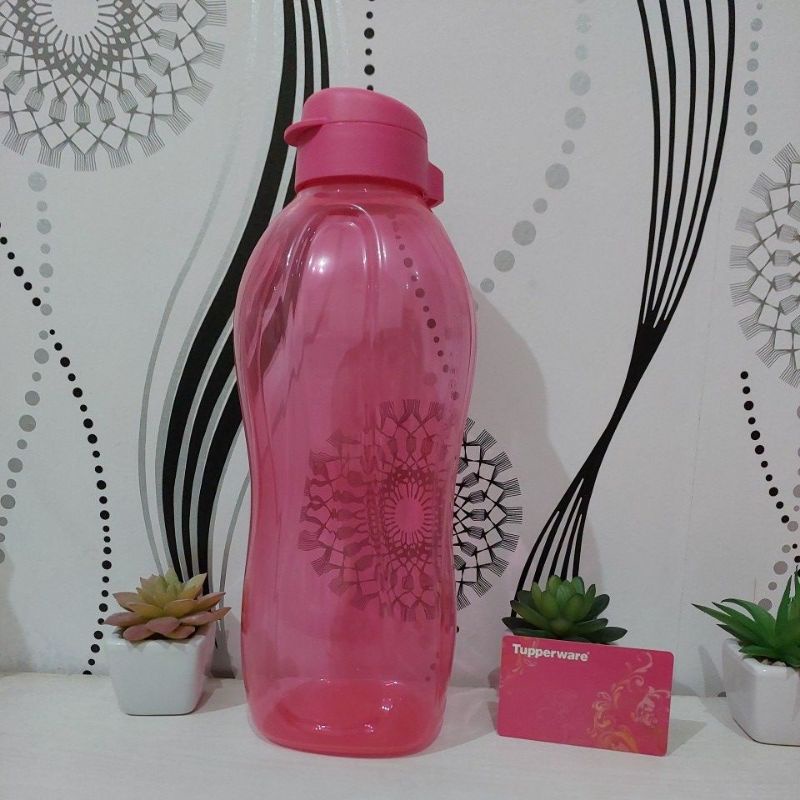 Eco Bottle 2 liter (1)