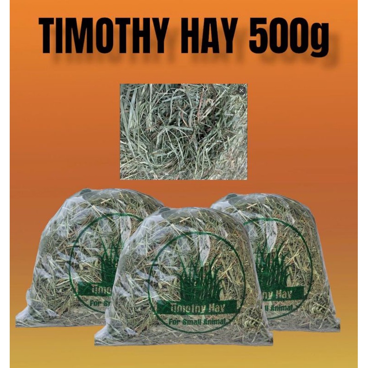 TIMOTHY RUMPUT HAY MAKANAN KELINCI