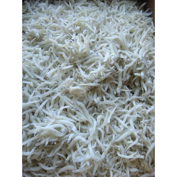

terinasimedanjumbo1000gram