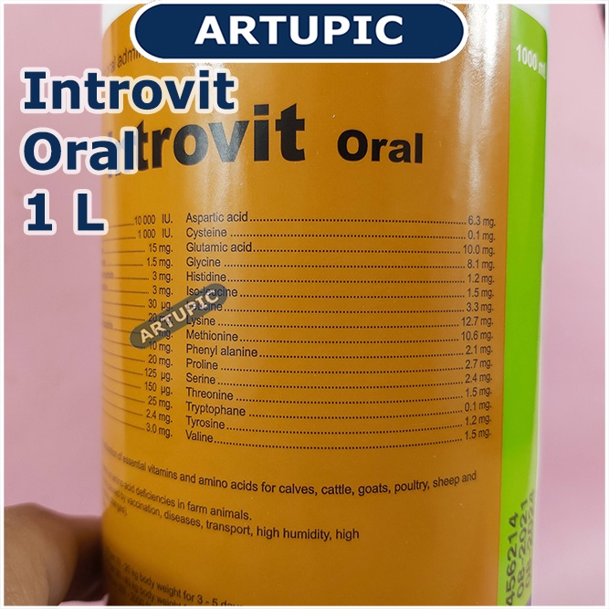 Introvit Oral 1 Liter Multivitamin Lengkap Asam Amino Ternak Hewan Vitamin Holland Mempercepat Pertumbuhan dan Meningkatkan Produksi Telur Daya Tahan Tubuh Mengatasi Stres Stamina Daging Telur Susu Ayam Sapi Kambing Babi Domba