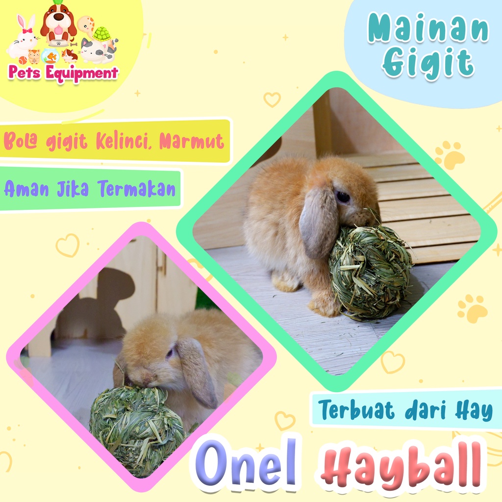 ONEL HAY BALL/mainan gigit kelinci guinea pig/rabbit chew toys/rabbit toys