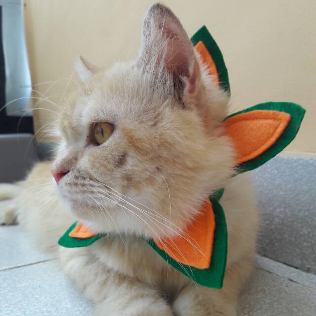 Collar hias untuk kucing &amp; anjing /Jual Baju Kucing Terlengkap &amp; Berkualitas size S-XL