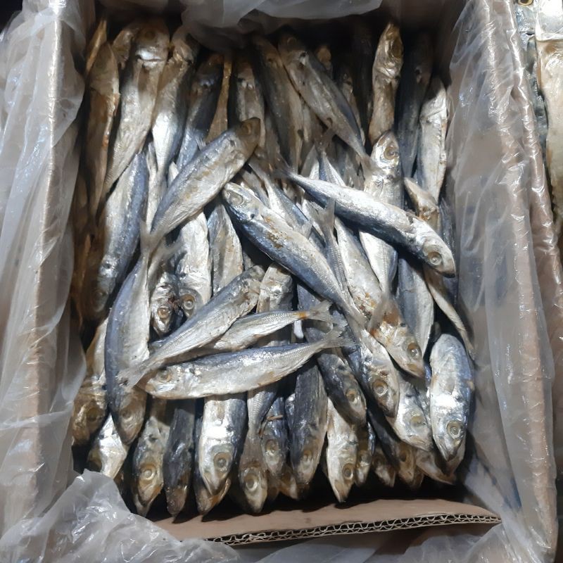 

Ikan Asin Japu Layang 1/4kg (250g)