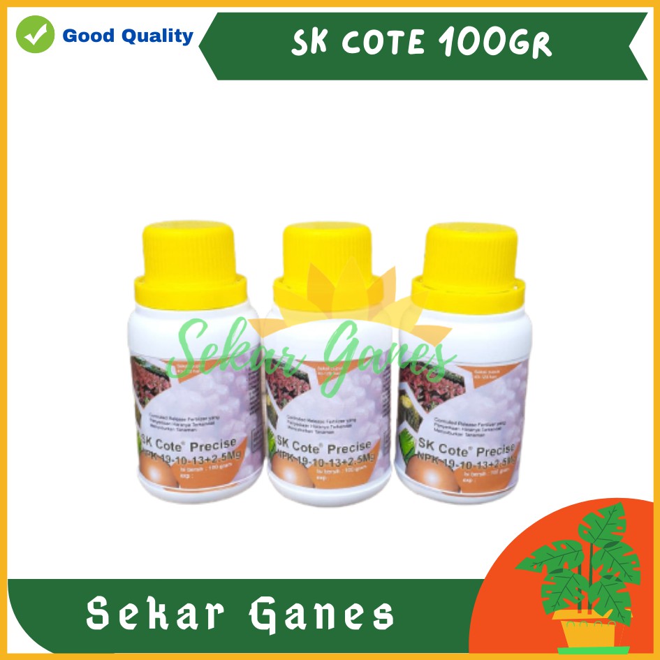 Sekarganes Ori SK Cote Precise 100 Gram NPK 19-10-13 Pupuk Durian Fungsi Mirip Osmocote Dakastar 17-11-10 17 11 10 Pupuk Sk Kote Premium Tanaman Hias Aglaonema Monstera Aglo Slow Release