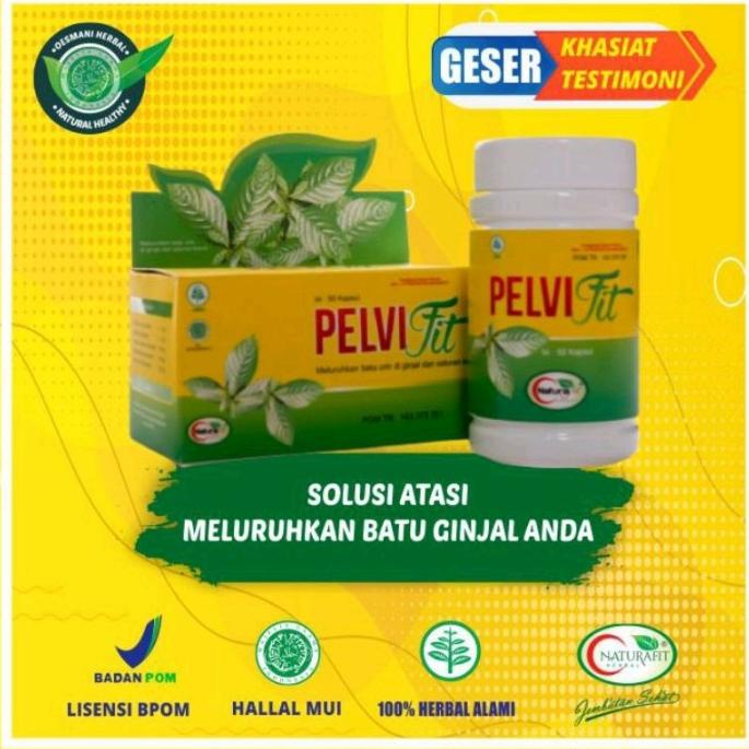 PELVIFIT naturafit Obat Sakit Ginjal Herbal 50Kapsul