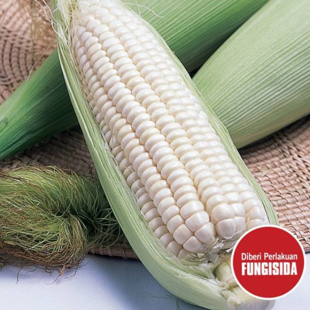Repack Benih Jagung Pulut KUMALA 5bj
