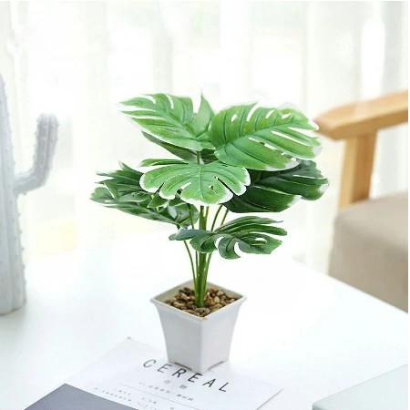 VB57 Monstera Tanaman Hias Philodendron Janda Bolong Plastik Hiasan