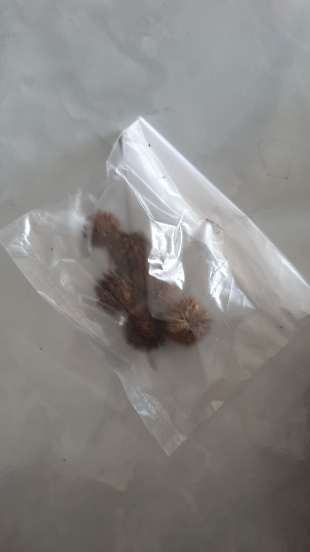 Hiasan Buket Bunga Dekorasi Rustik Dried Flower Marigold Pompom Kering Sikas Palem Gandum Lagurus