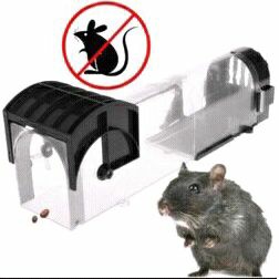 Jebakan Perangkap Tikus Mouse Trap Cage Hu1999