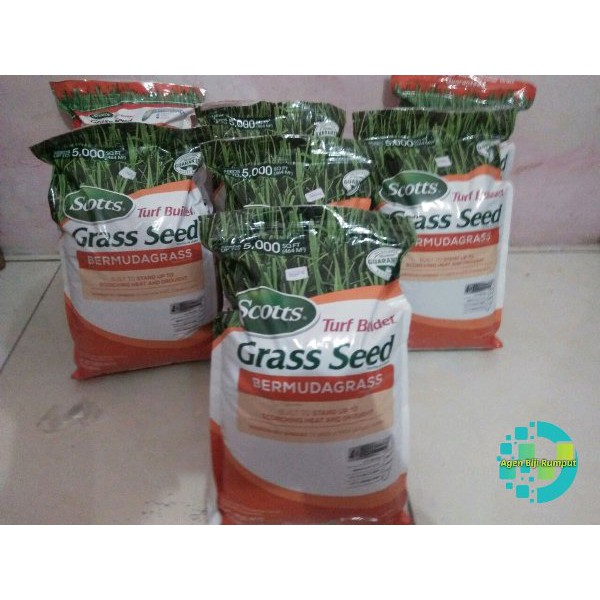 Biji rumuput scotts grass seed Seed