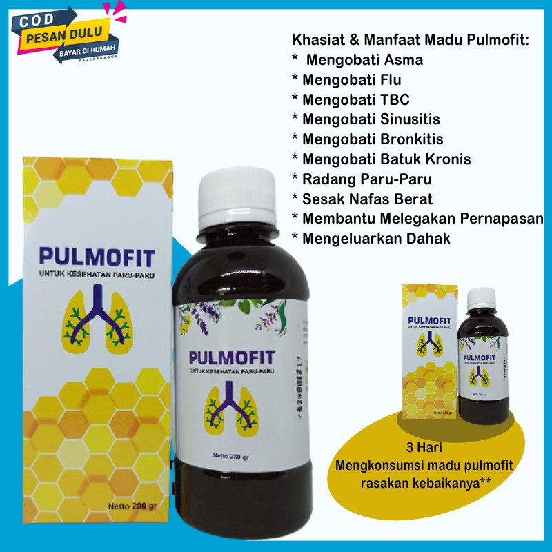 Jual Pulmofit Obat Sesak Nafas Asma Infeksi Pernapasan Batuk Kronis Tbc