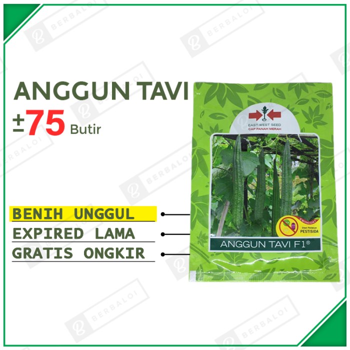Anggun Tavi F1 Benih Gambas Oyong Unggul Bibit Oyong Gambas Hibrida