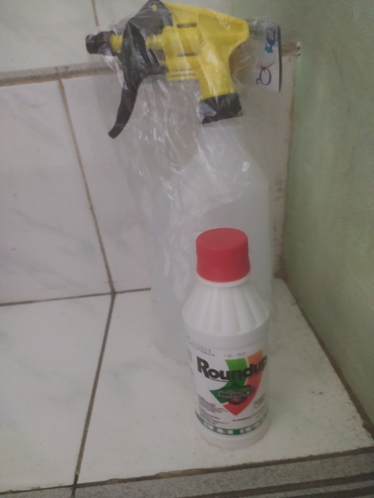 Roundup Rondap 200ml Obat Pembasmi Rumput Dan Gulma Murah  300gr