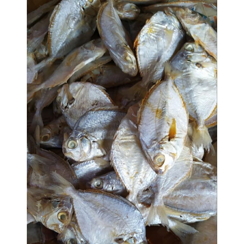 

Ikan Petek Asin 1 kg