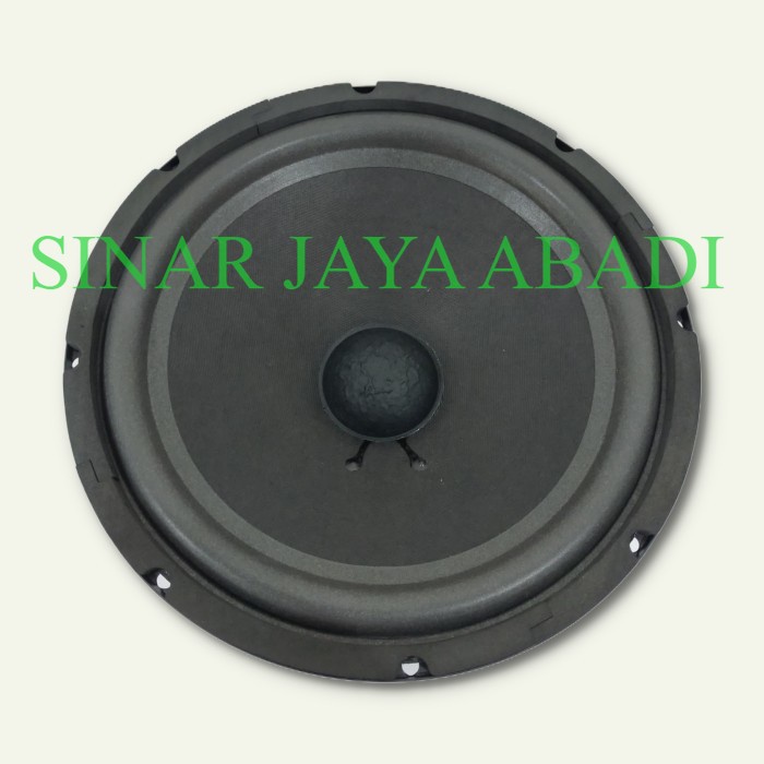 SPEAKER WOOFER KOMPONEN BLACK PANTHER 10 INCH KARAKTER VOKAL KARAOKE