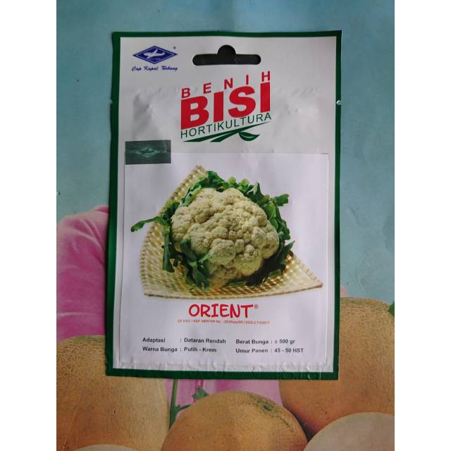 Benih Kol Bunga Dataran Rendah ORIENT