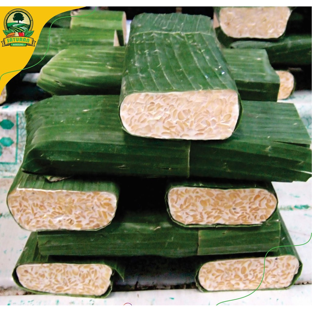 

Segar Tempe Besar