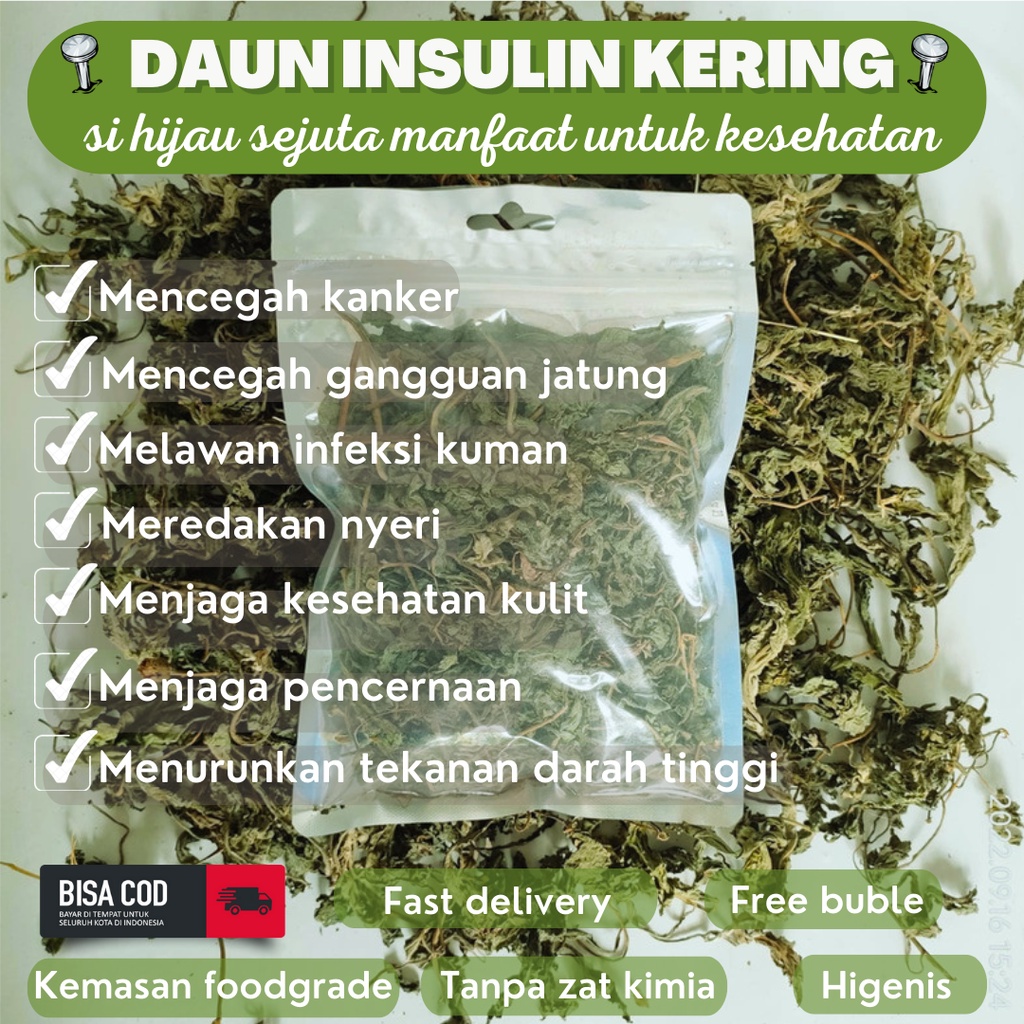 

DAUN INSULIN KERING - GRADE A 50 GR