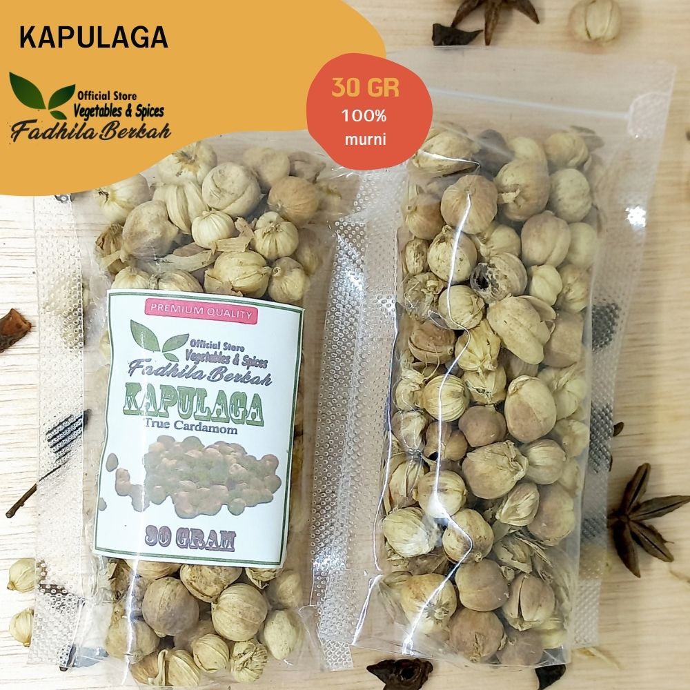 

Kapulaga 30 gr Kapol | True Cardamom Kering asli Premium bumbu masak penyedap| Resep sehat JSR