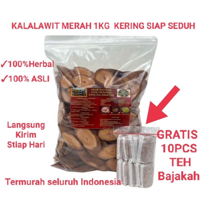 

AKAR BAJAKAH TUNGGAL 1KG KERING SIAP SEDUH (100% ORIGINAL)