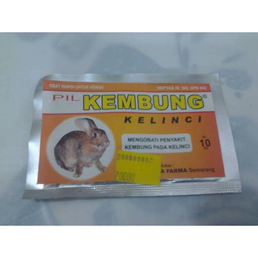 desinfektan th4 anjing kucing