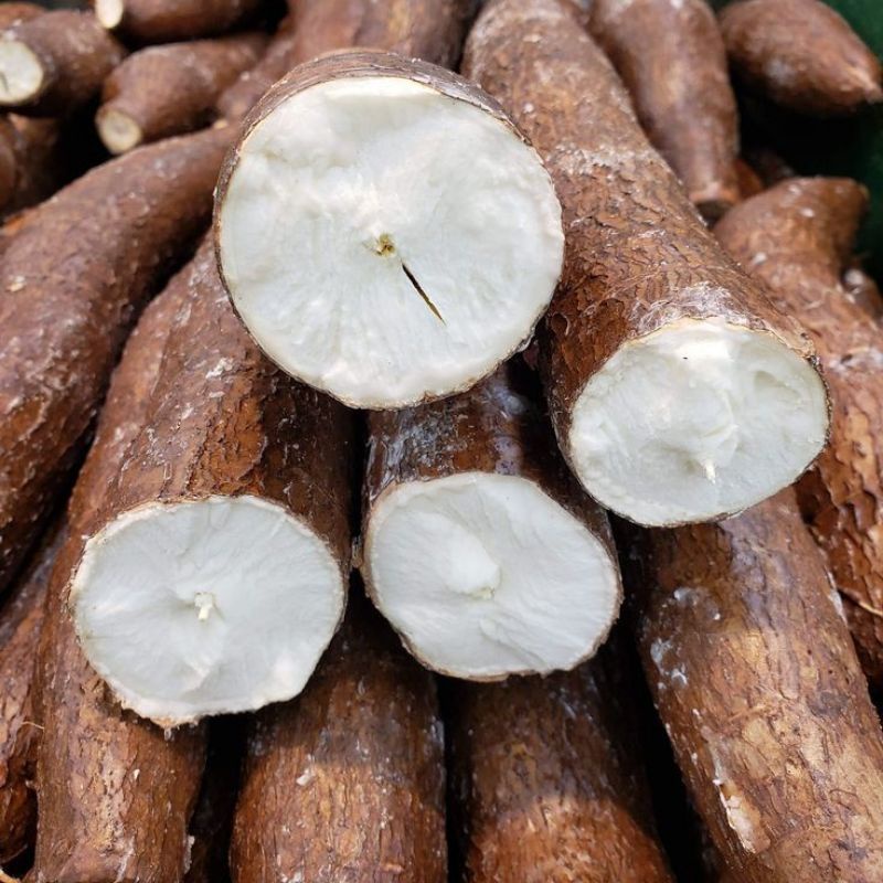 

singkong