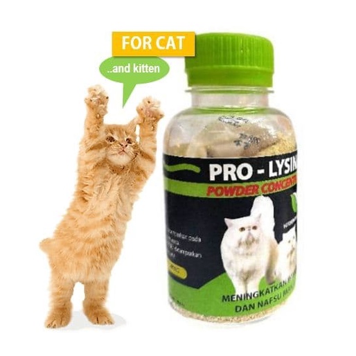 Pro Lysine Vitamin Kucing Prolysine Untuk Meningkatkan Dan Menambah Nafsu Makan