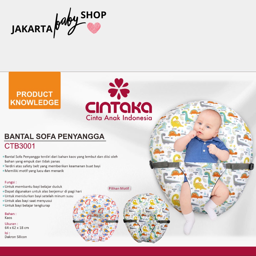 BANTAL SOFA PENYANGGA CINTAKA CTB30012