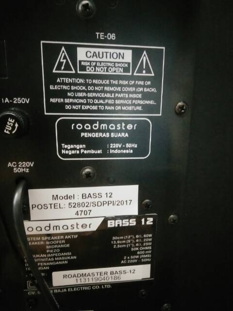 roadmaster bass 12